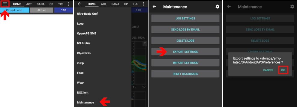 AndroidAPS export settings